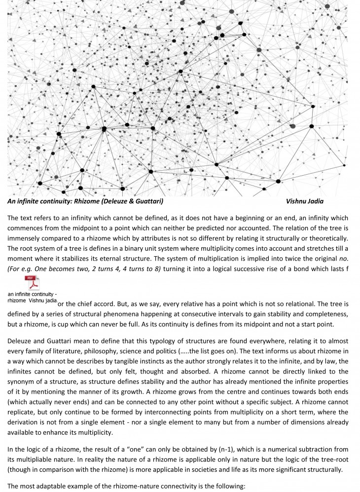 an infinite continuity - rhizome  Vishnu jadia-1