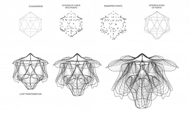 moth_transformation_steps