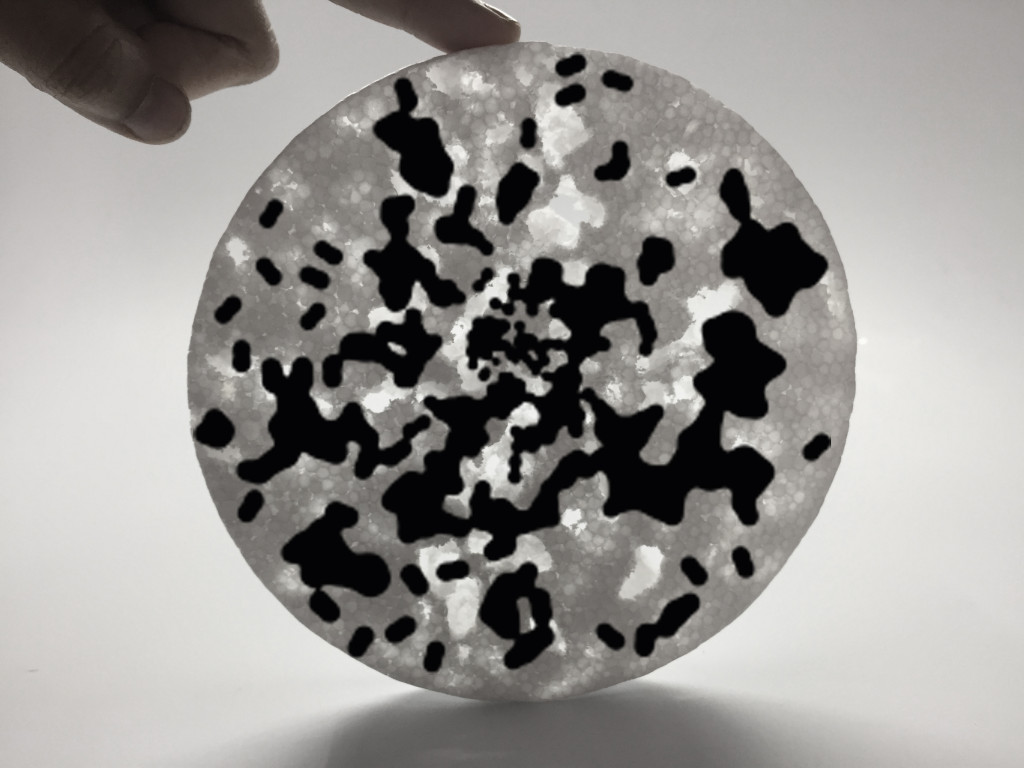 MEALWORMS EATING STYROFOAM AND THE EXPLORATION OF EATING PATTERNS // LIVING SYSTEMS IAAC Blog