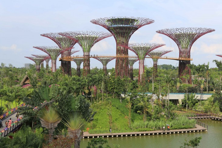 Gardens by the bay