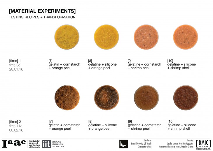 IAAC_Piel Vivo_4_Material Experiments Food Waste