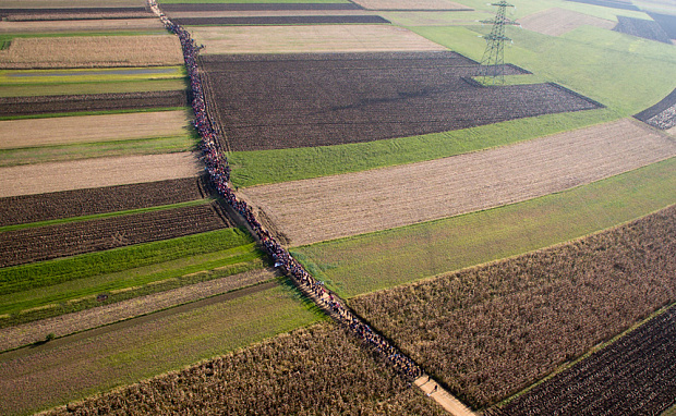 Image: A column of migrants move through the fields after crossing from Croatia, in Rigonce, Slovenia. Photo: AP Photo/Darko Bandic12