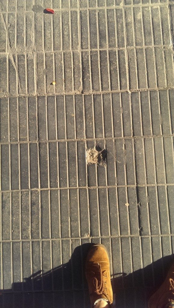 IAAC_mappingeixample_pedestrian cracks3