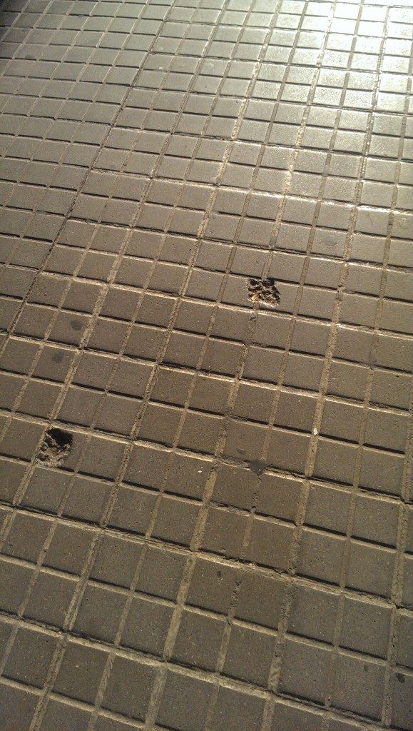 IAAC_mappingeixample_pedestrian cracks1