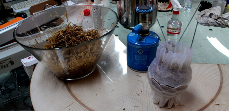 Symbiotic Associations IAAC Noumena