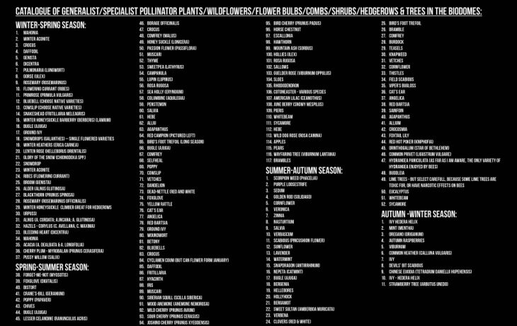 Catalogue of generalist/specialist pollinator plants/wildflowers/flower bulbs/combs/shrubs/hedgerows & trees in the biodomes.