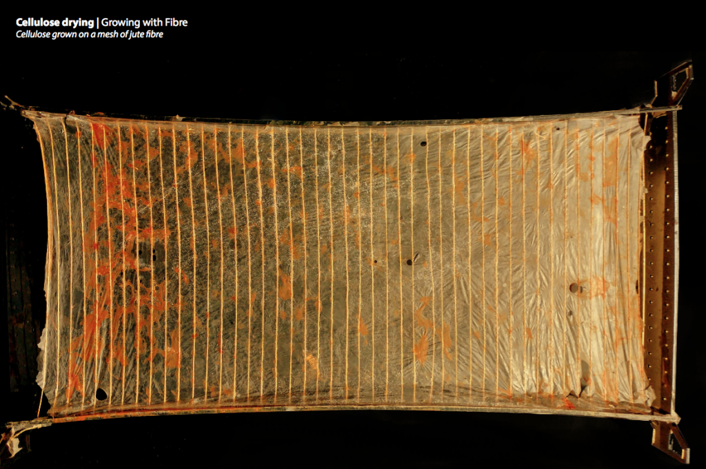 BioFabric Microbial Cellulose IAAC Blog