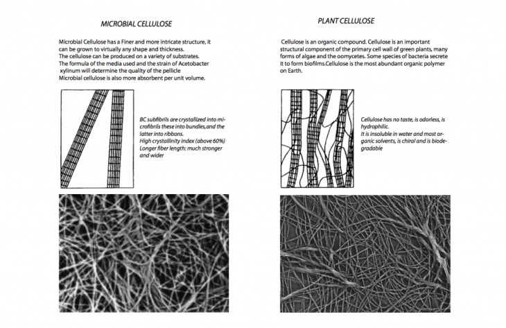 Bio-Fabric | Microbial Cellulose – IAAC Blog