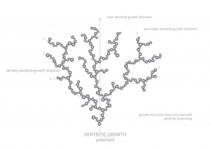 polarized crystals growth