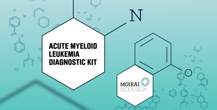 screen-shot-2016-12-13-at-12-49-23