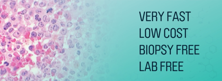 screen-shot-2016-12-13-at-12-50-29