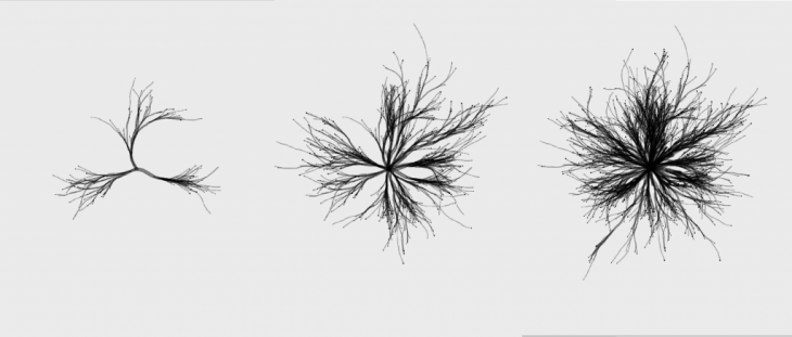 particle_paths