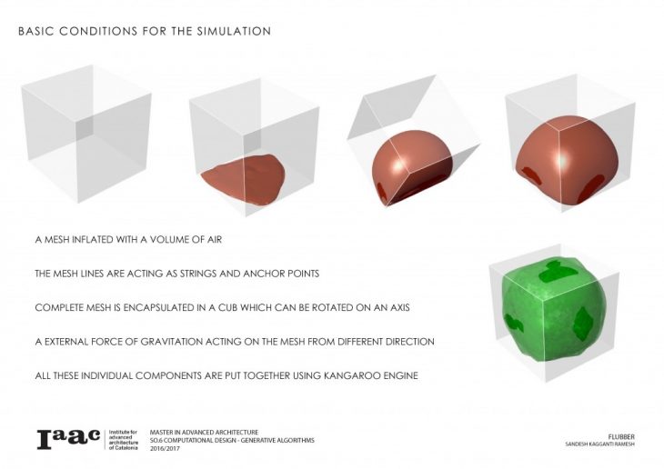 flubber simulation – IAAC Blog