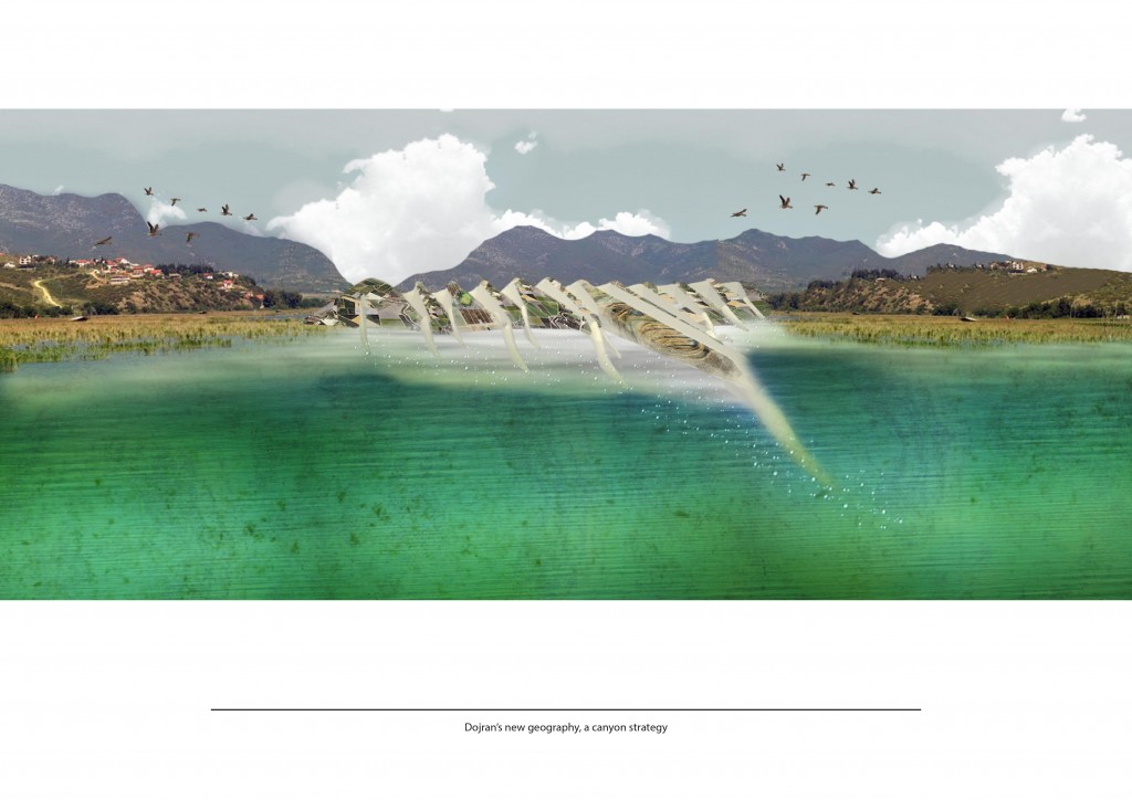 Lake ecosystem thesis 07 picture