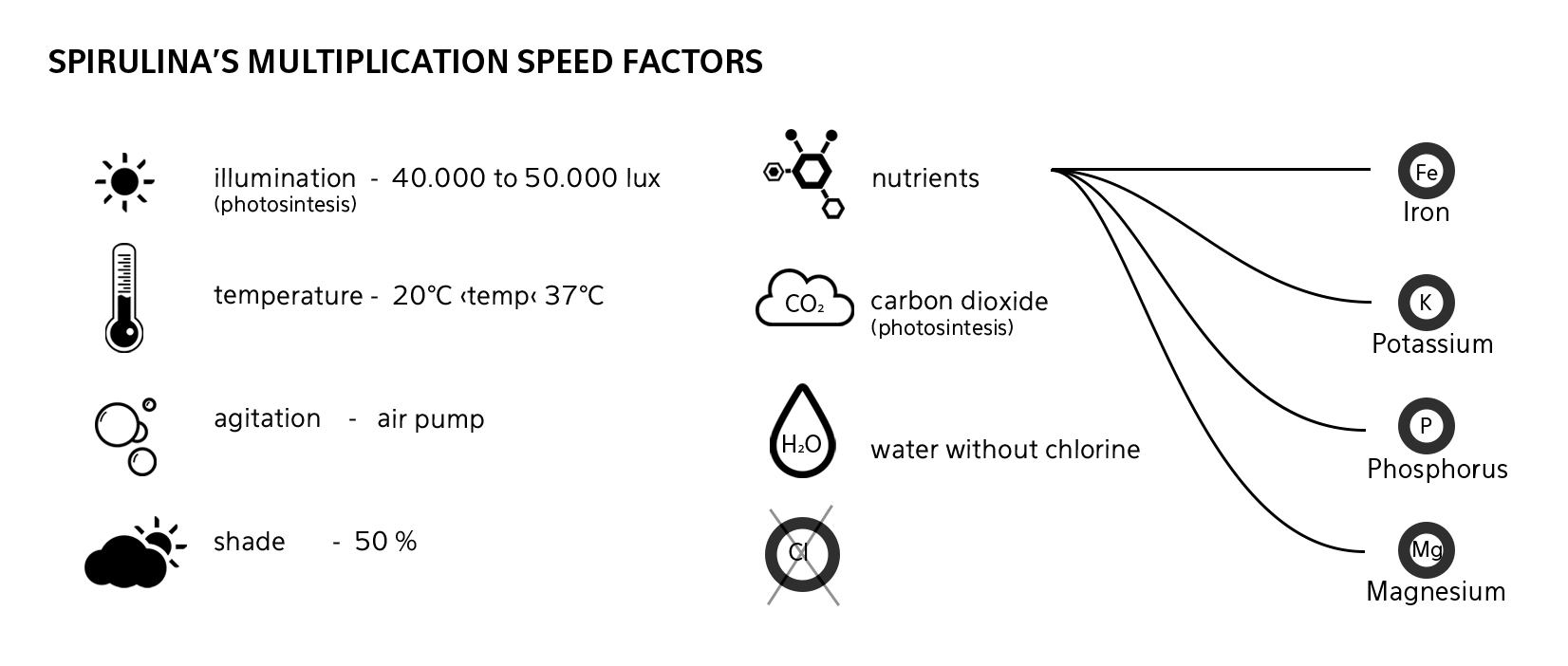 PhycoLights Hacking Spirulina IAAC Blog