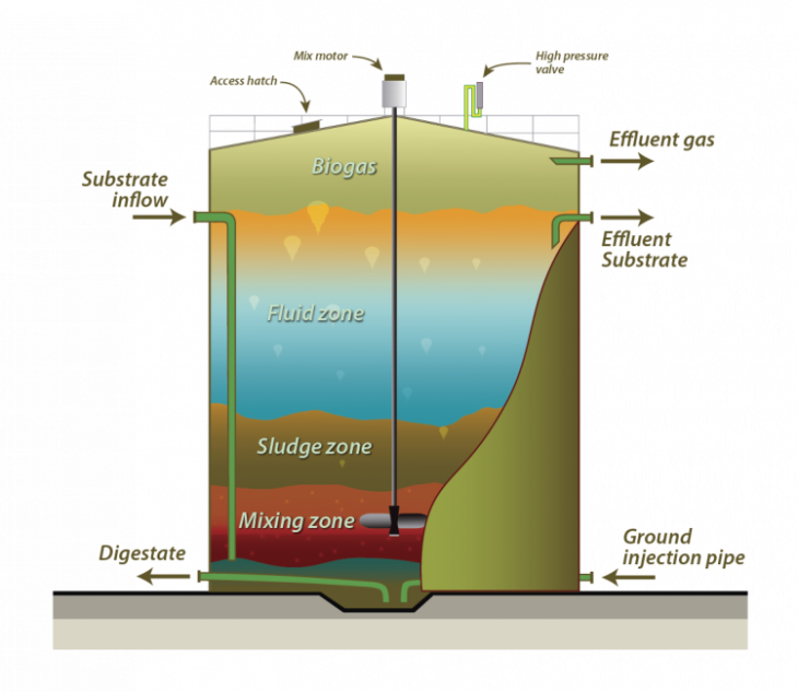 Biomass to Biofuel