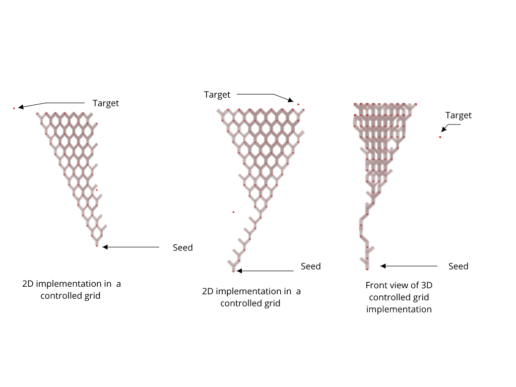 Targeted random branch growth algorithm – IAAC Blog