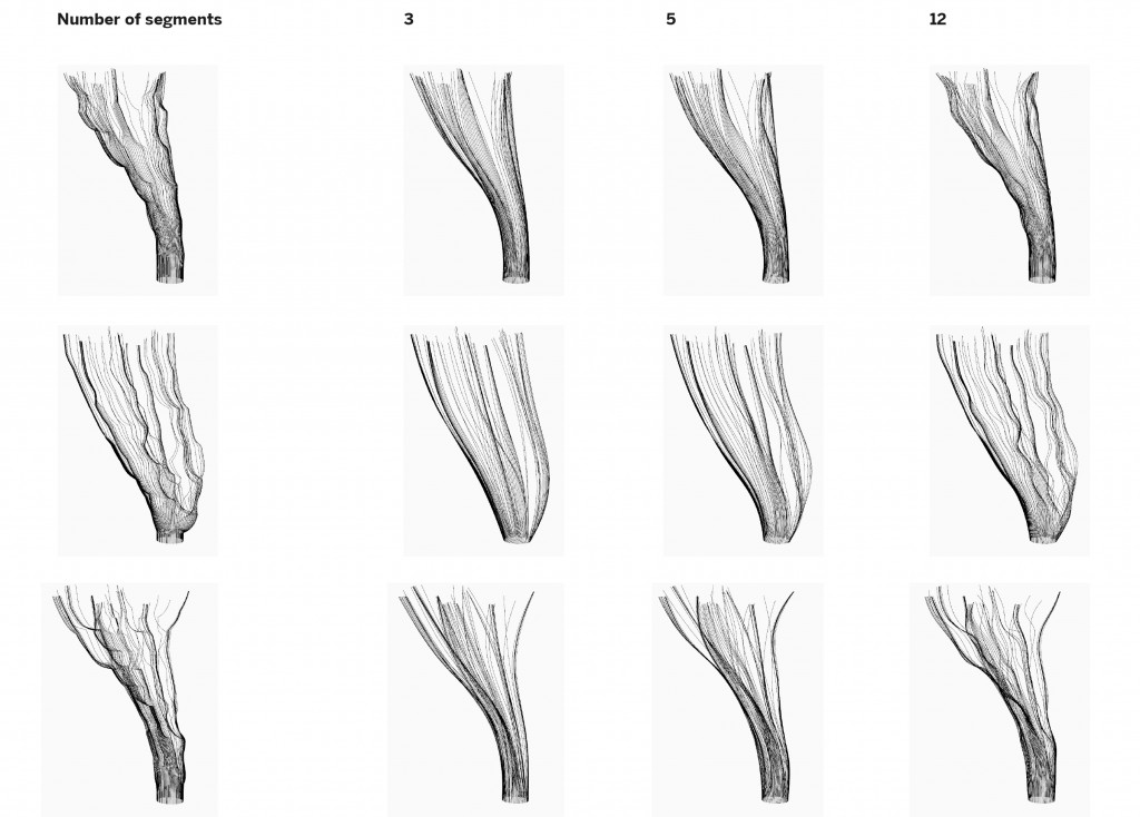 RECURSIVE GROWTH – IAAC Blog