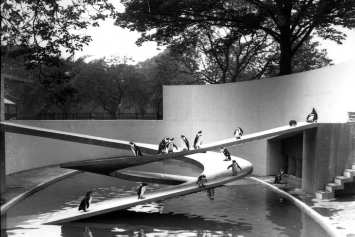 three fold logic of advanced architecture, iaac , iaac blog, maa,The Penguin Pool, Berthold Lubetkin + Tecton Group, 1934