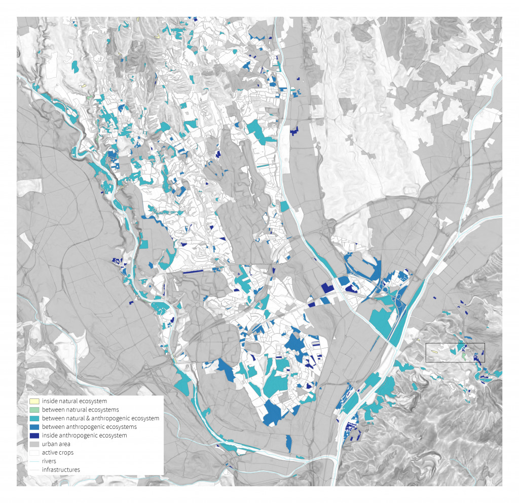 big data analysis, categorization, scatter graph, python, El Vallès, abandoned crops