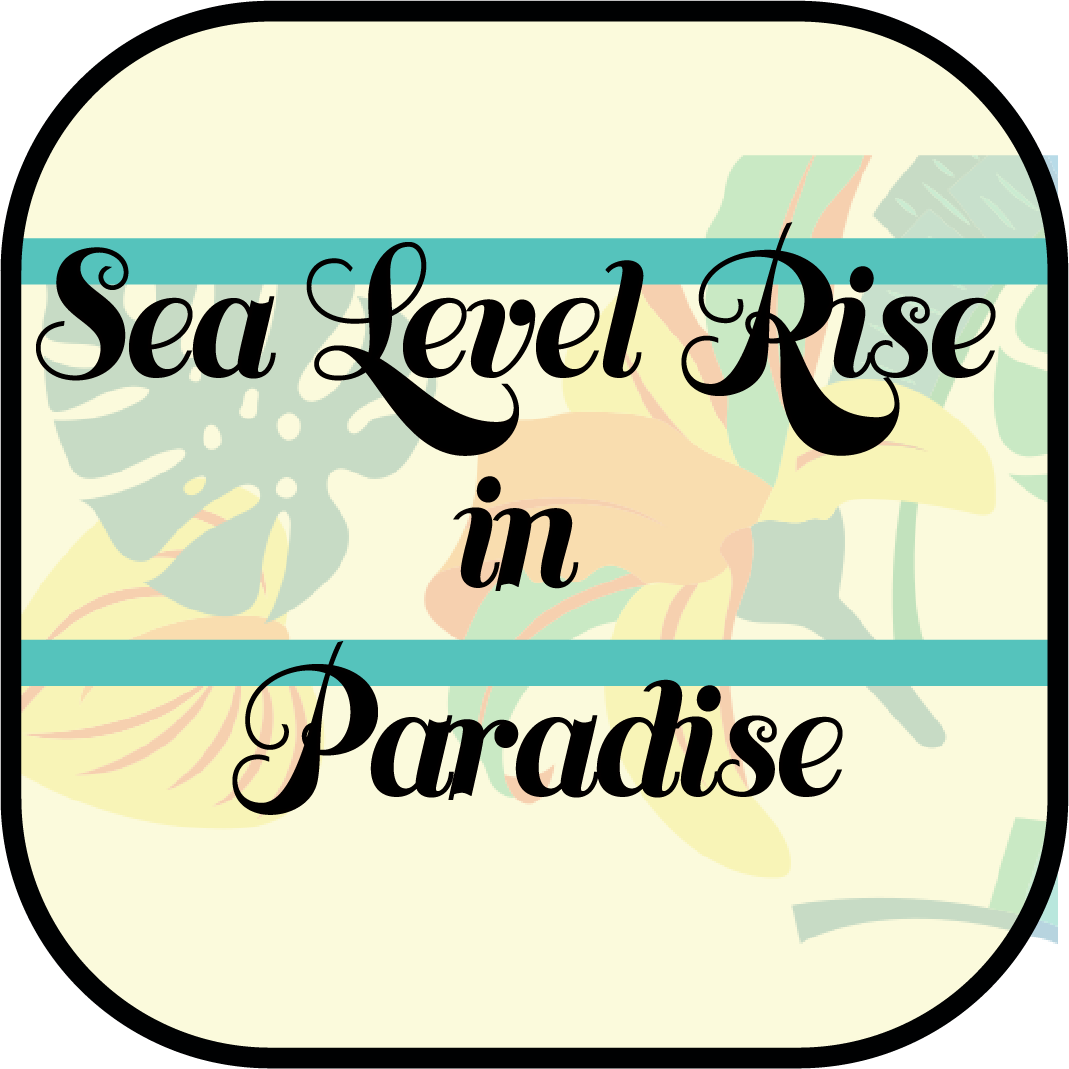 Sea Level Rise in Paradise Measuring the Impact of Sea Level Rise in