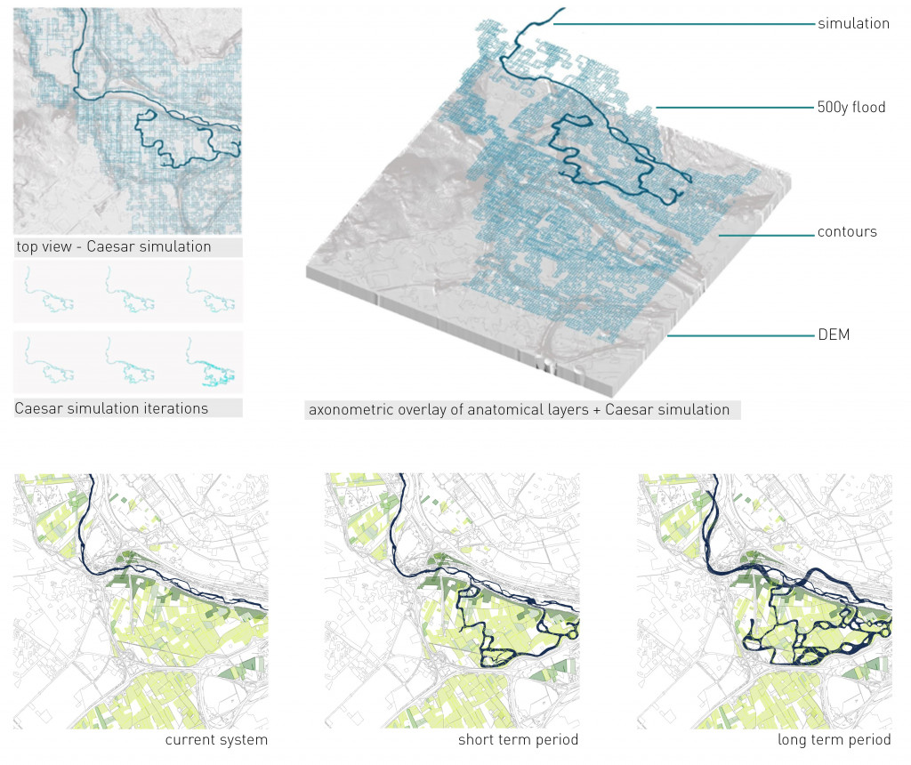 llobregat river, renaturing, river delta, sinay coskun, laura guimaraes, mario jose gonzalez, hebah qatanany, aishath nadh ha naseer, caesar, simulations