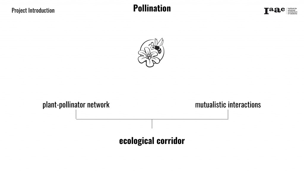 Pollination framework