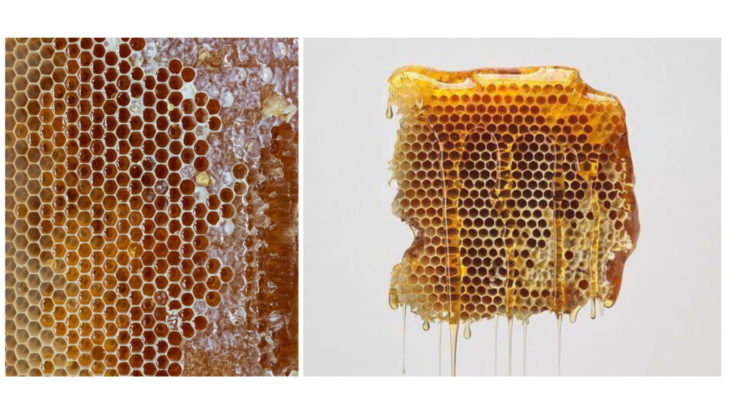 Honey concept CNC