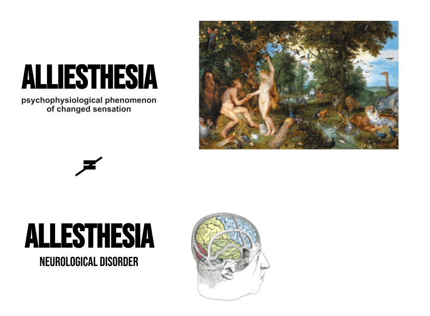 Alliesthesia Theory IAAC Blog