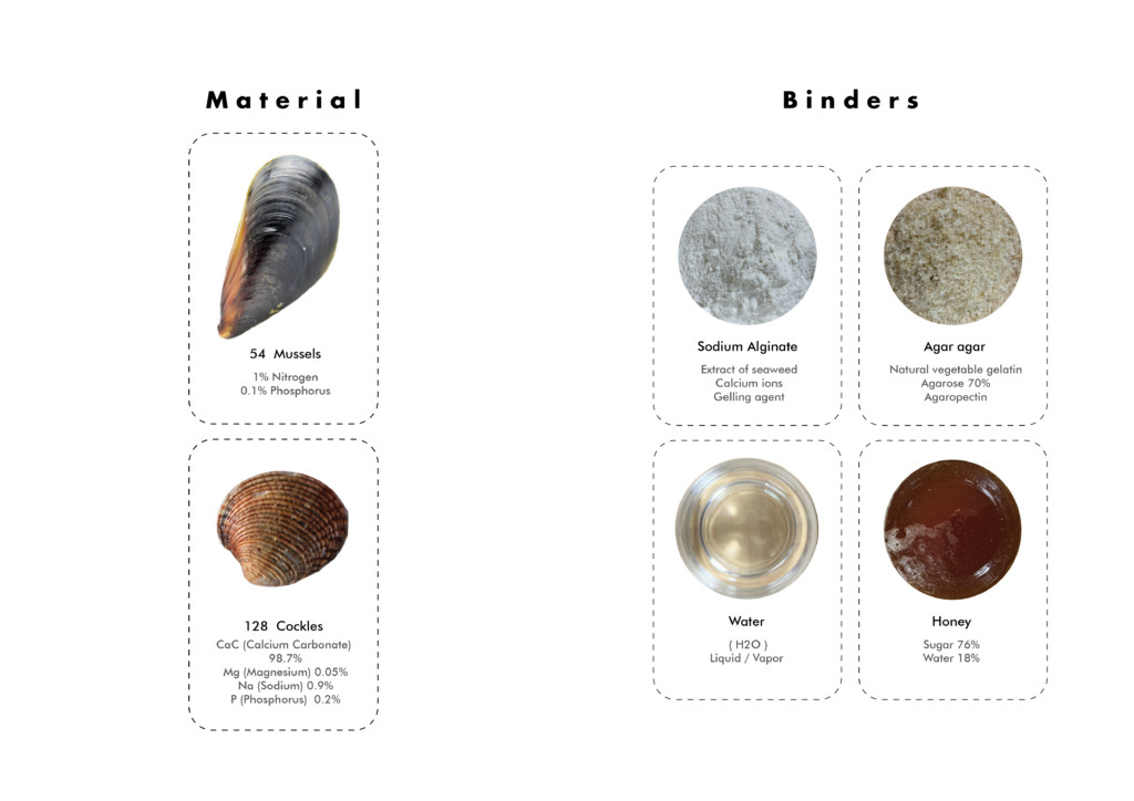 Seashells / Biocomposite material – IAAC Blog