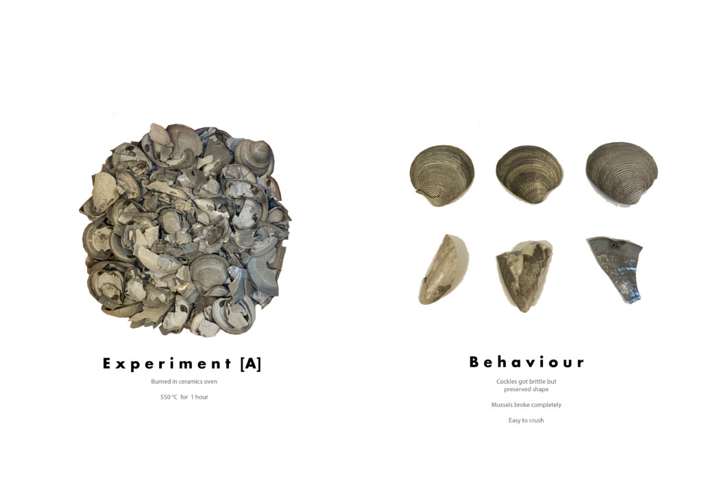 Seashells / Biocomposite material – IAAC Blog