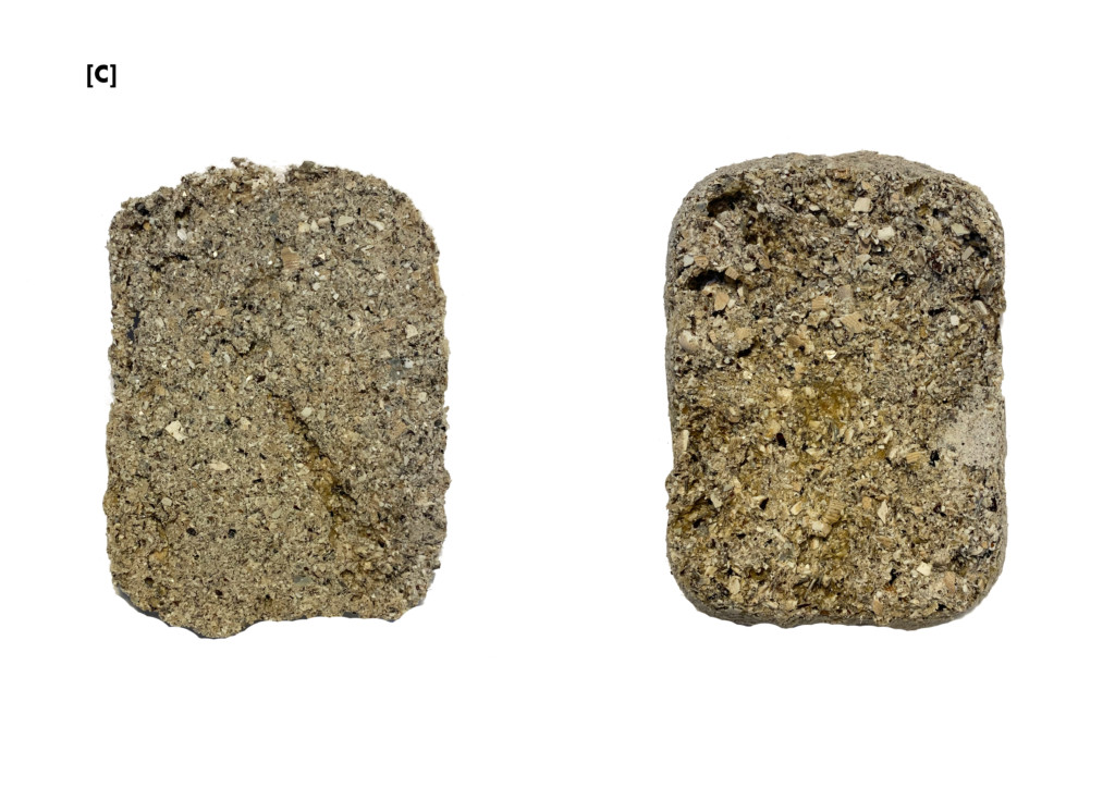 Seashells / Biocomposite material – IAAC Blog