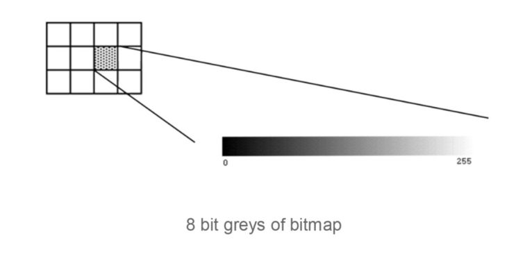 8bit Gray Bitmap
