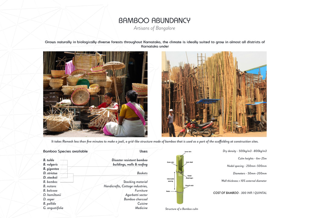 Bamboo abundancy